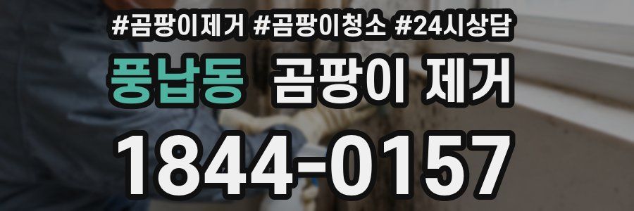 풍납동 곰팡이 제거