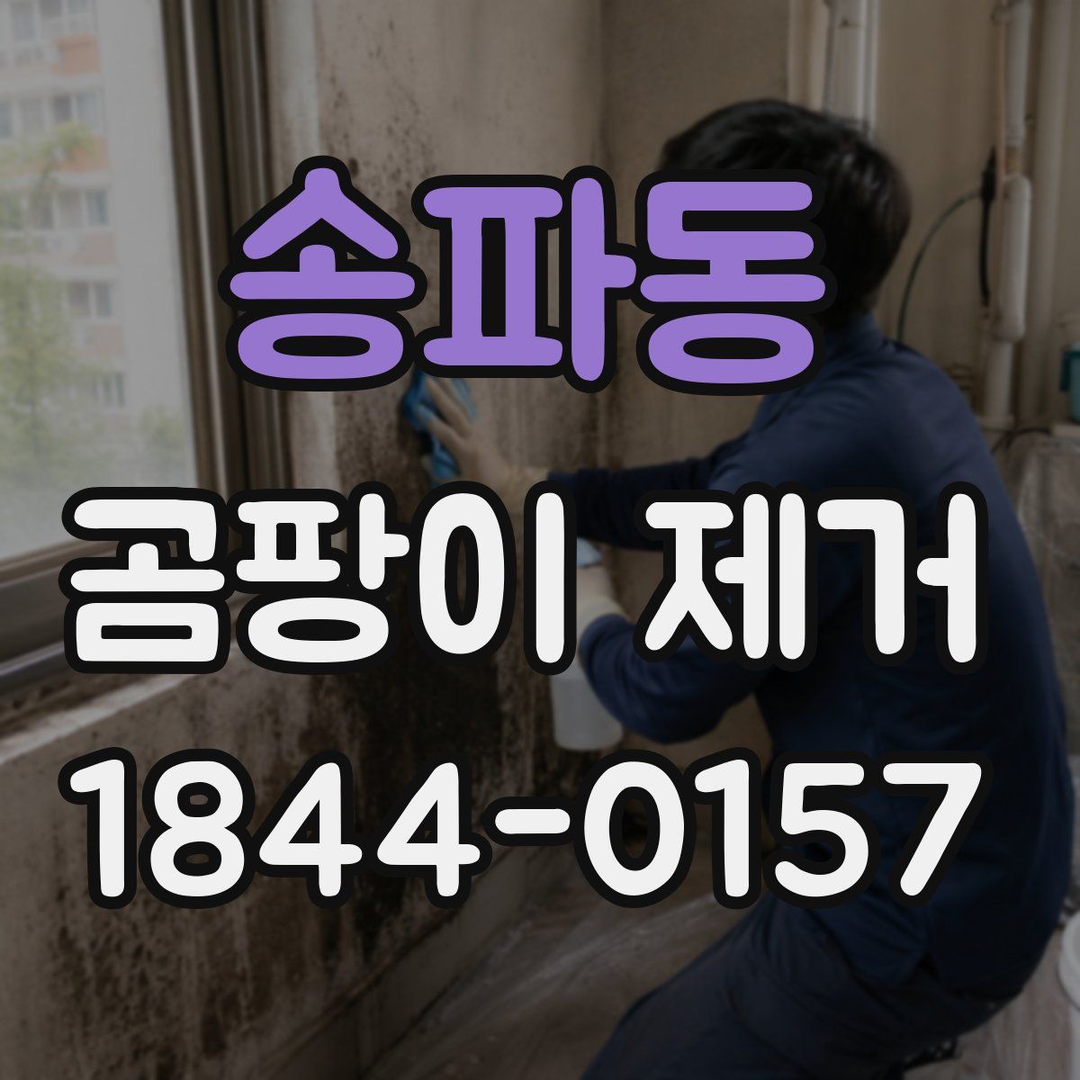 송파동 곰팡이 제거