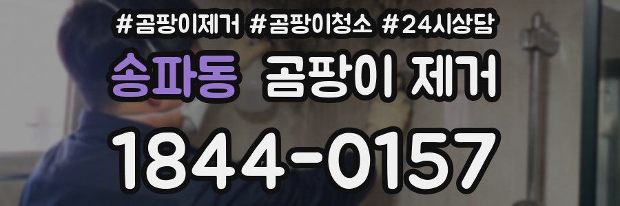 송파동 곰팡이 제거