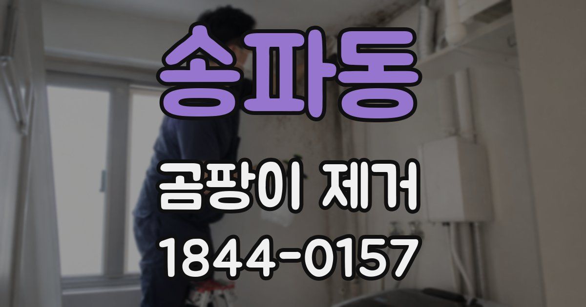 송파동 곰팡이 제거