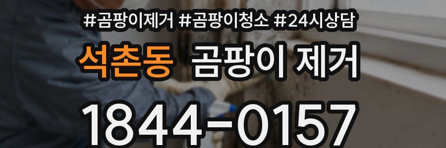 석촌동 곰팡이 제거
