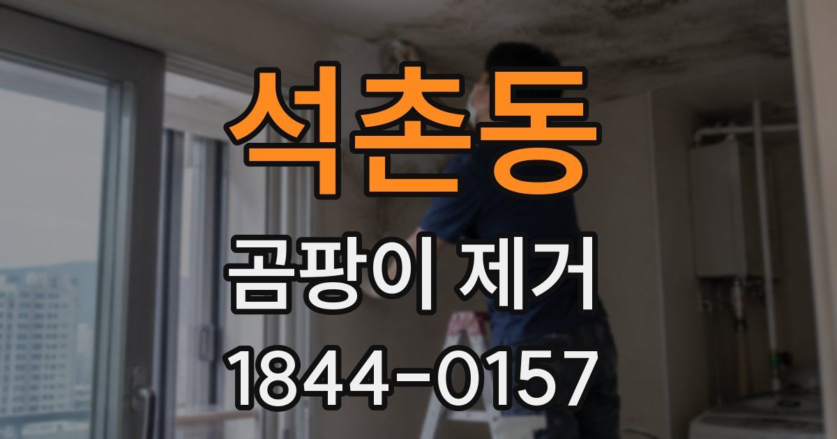 석촌동 곰팡이 제거