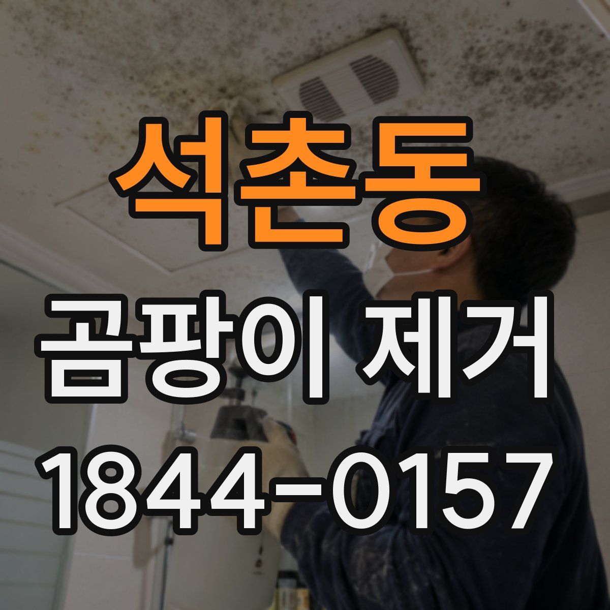 석촌동 곰팡이 제거