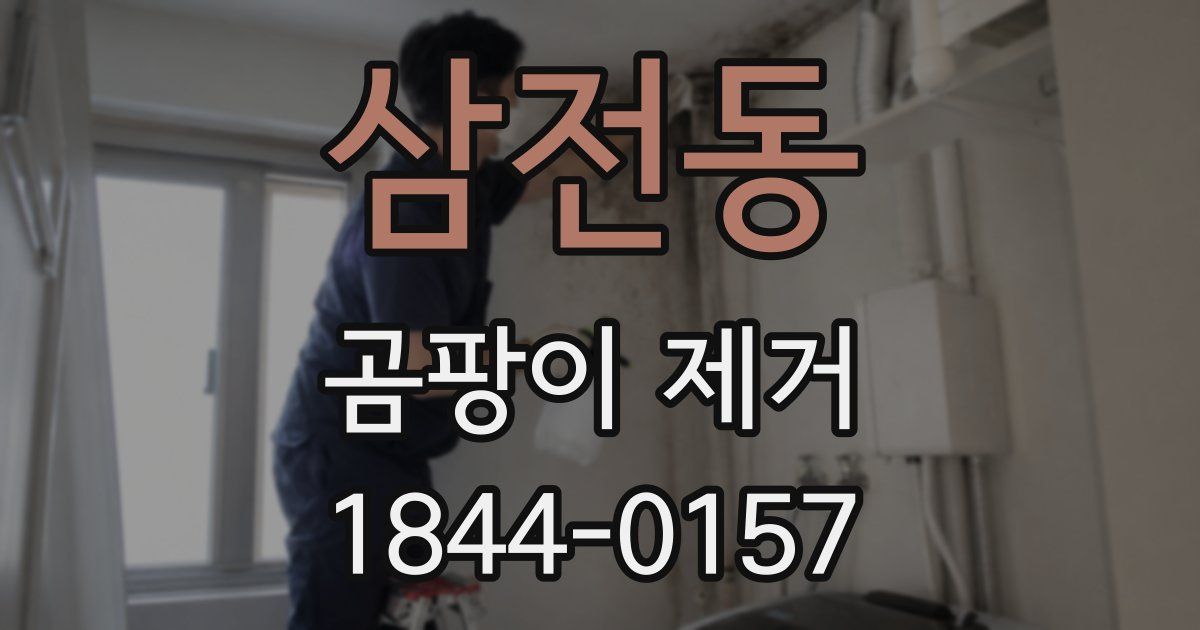삼전동 곰팡이 제거