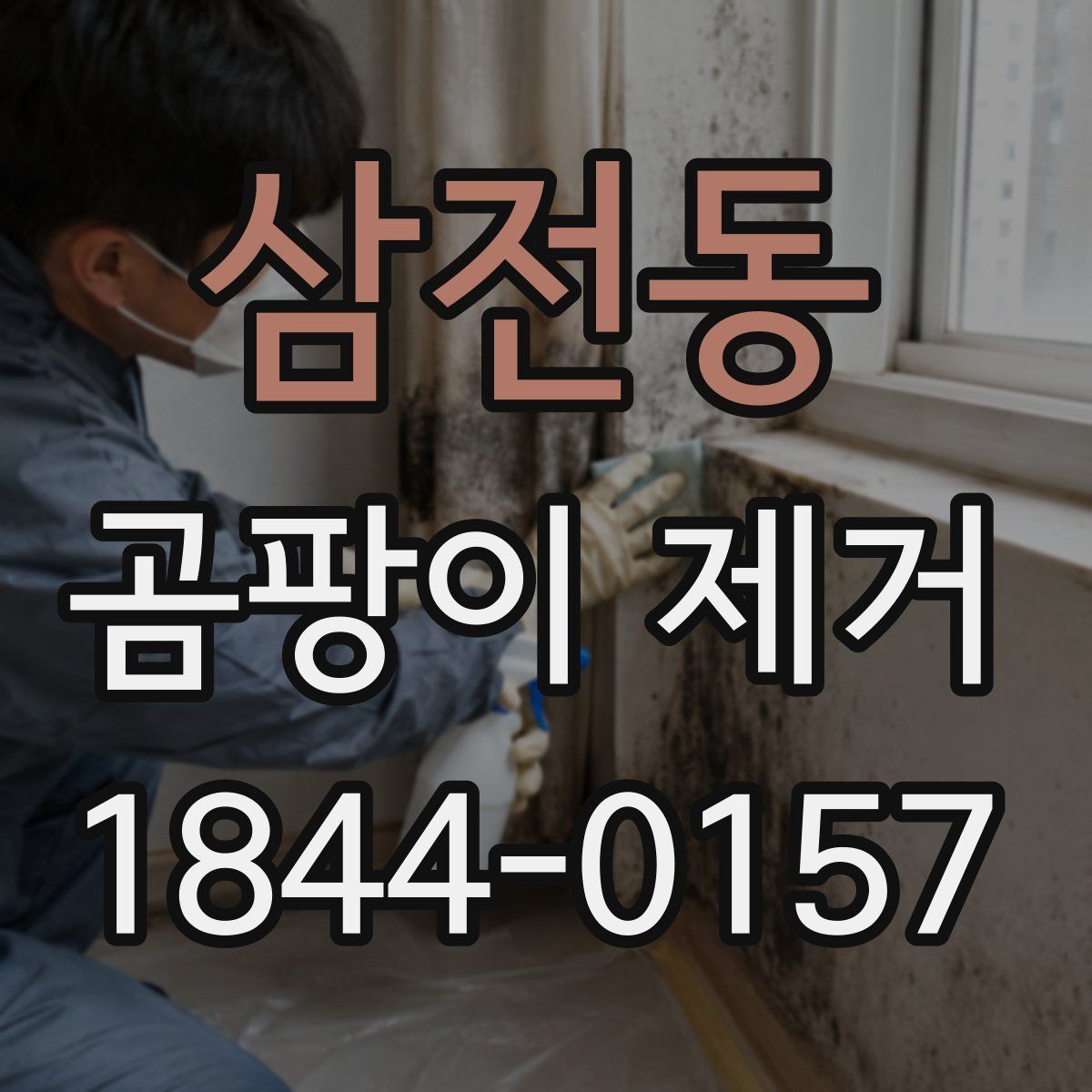 삼전동 곰팡이 제거