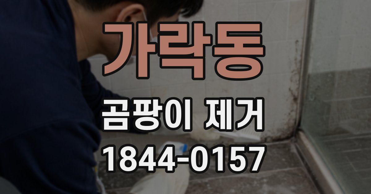 가락동 곰팡이 제거