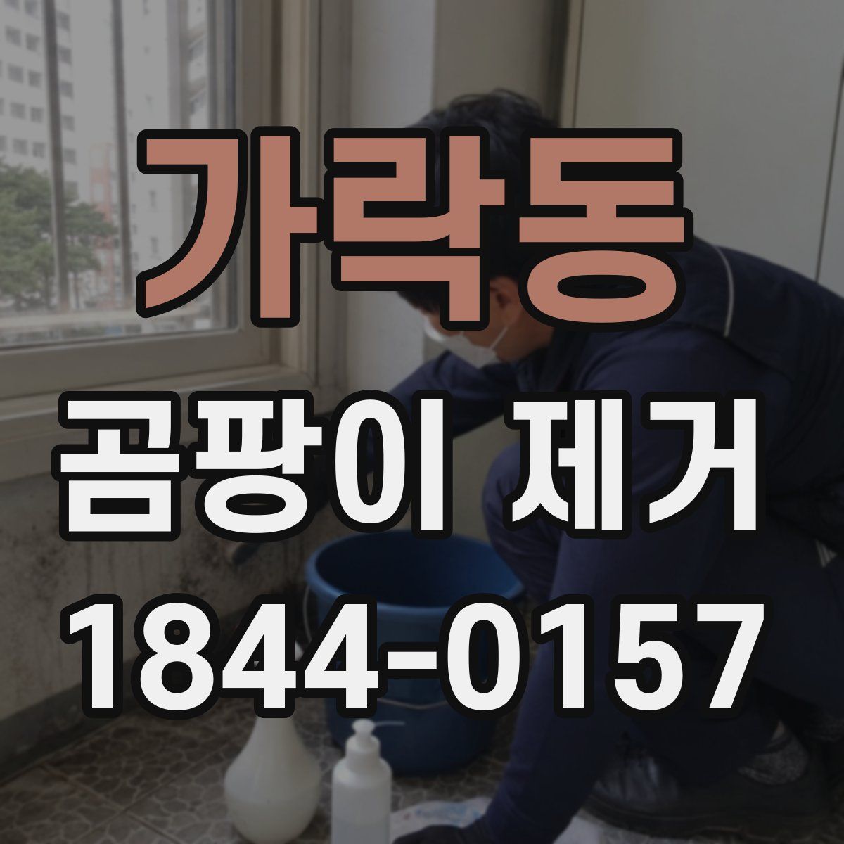 가락동 곰팡이 제거