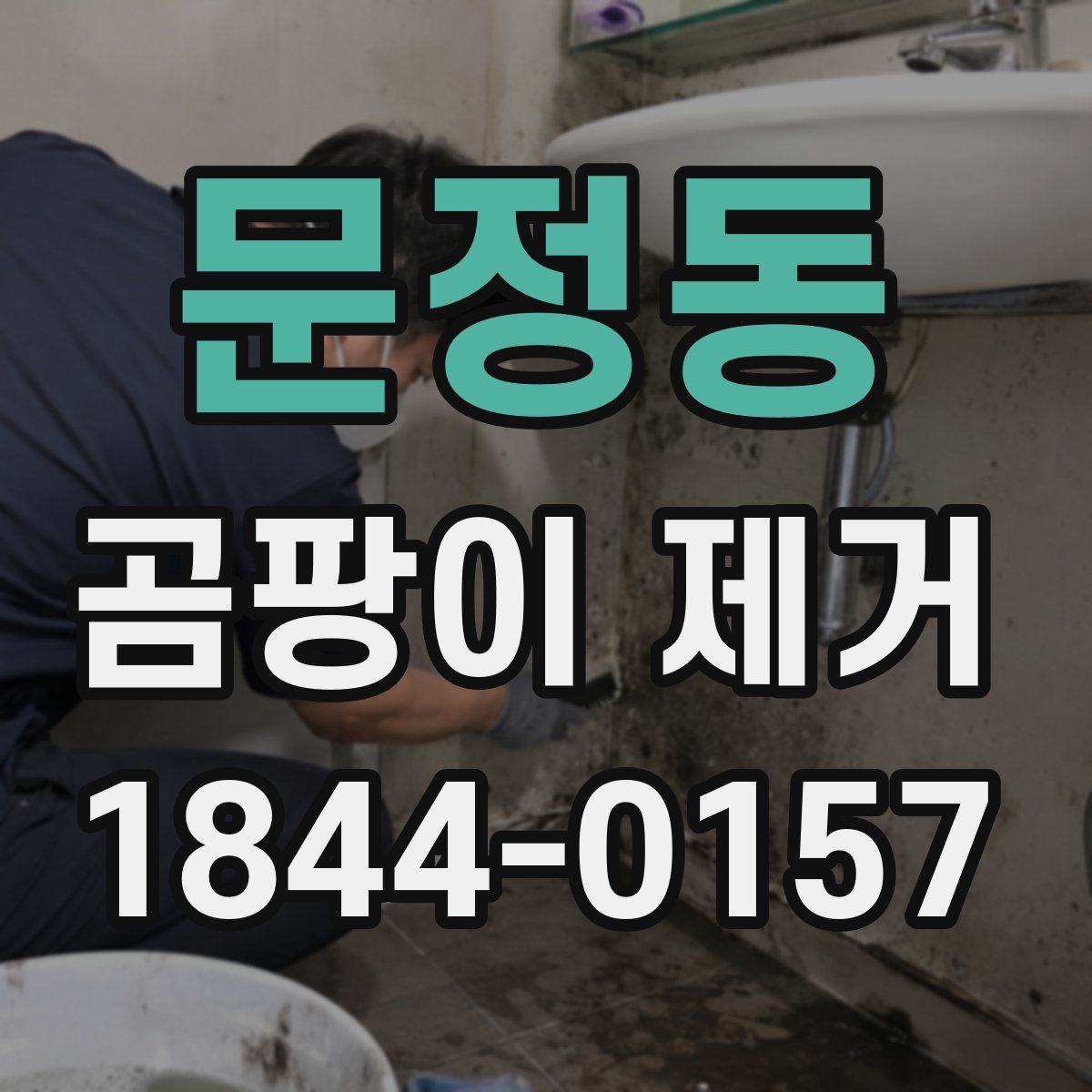 문정동 곰팡이 제거