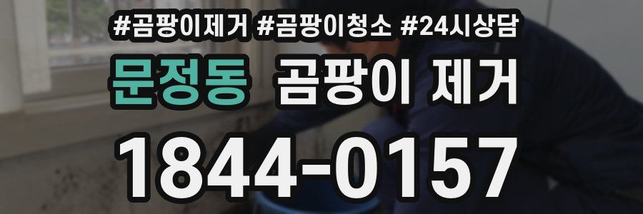 문정동 곰팡이 제거