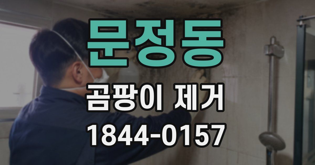 문정동 곰팡이 제거