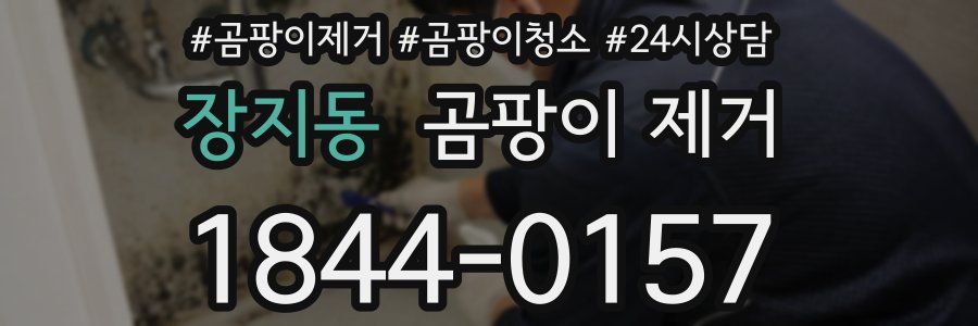 장지동 곰팡이 제거