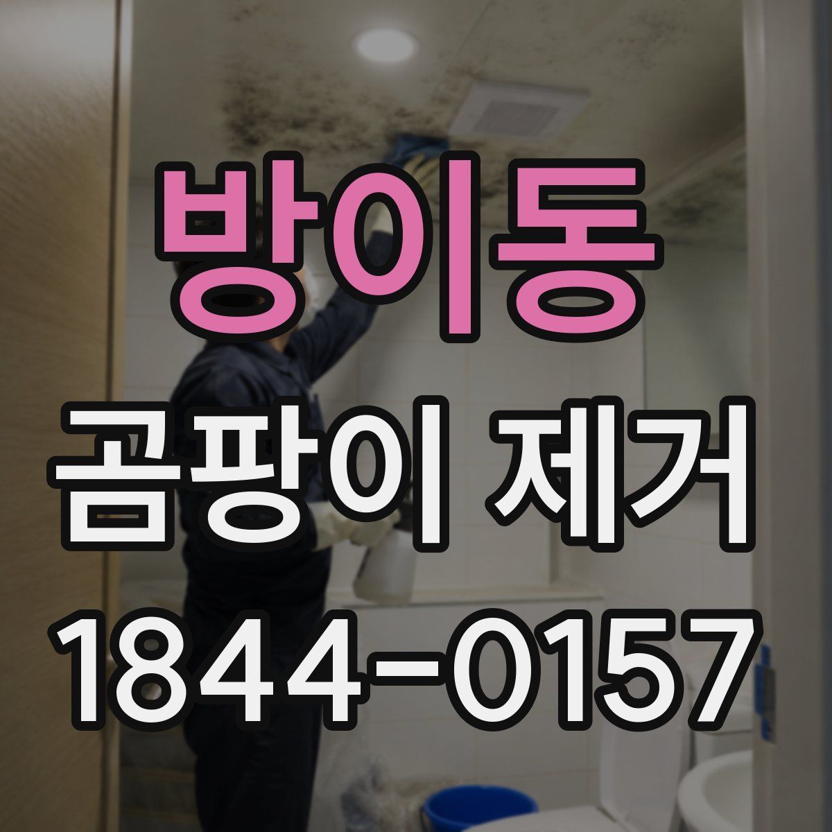 방이동 곰팡이 제거