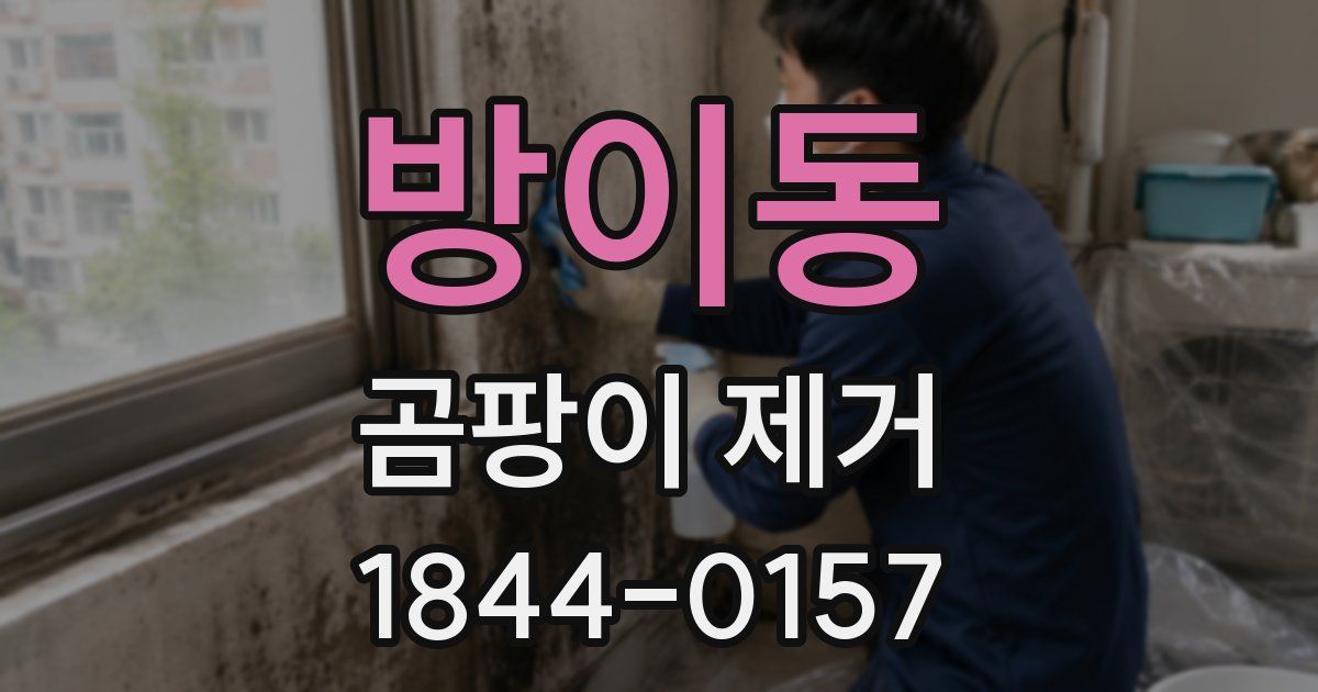 방이동 곰팡이 제거