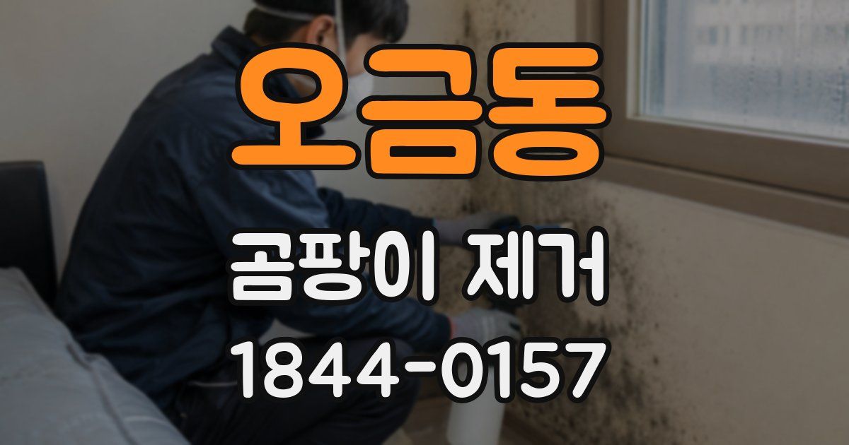 오금동 곰팡이 제거