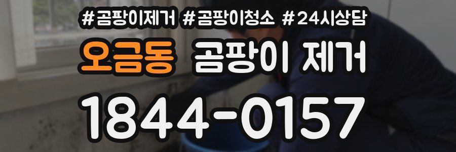오금동 곰팡이 제거