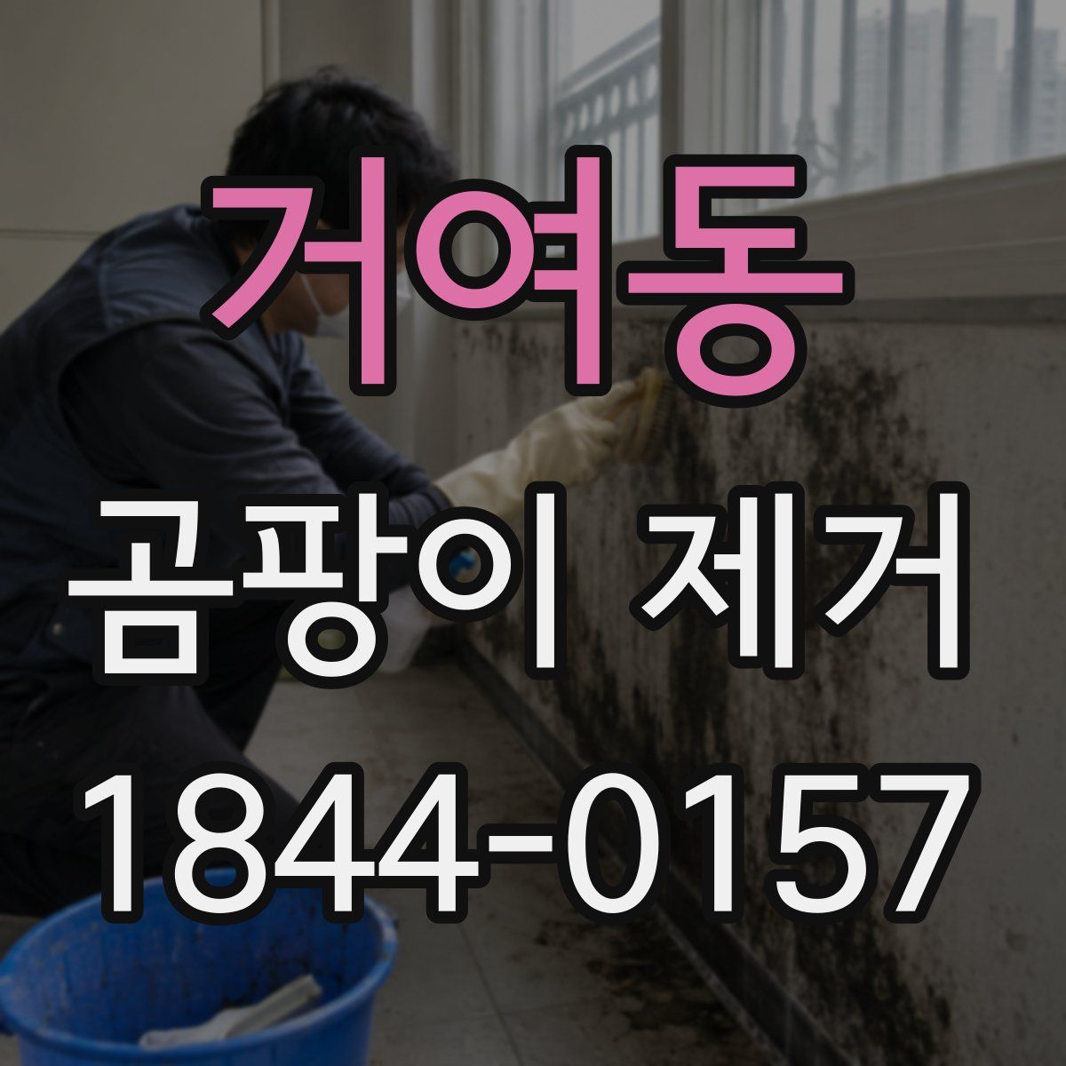 거여동 곰팡이 제거