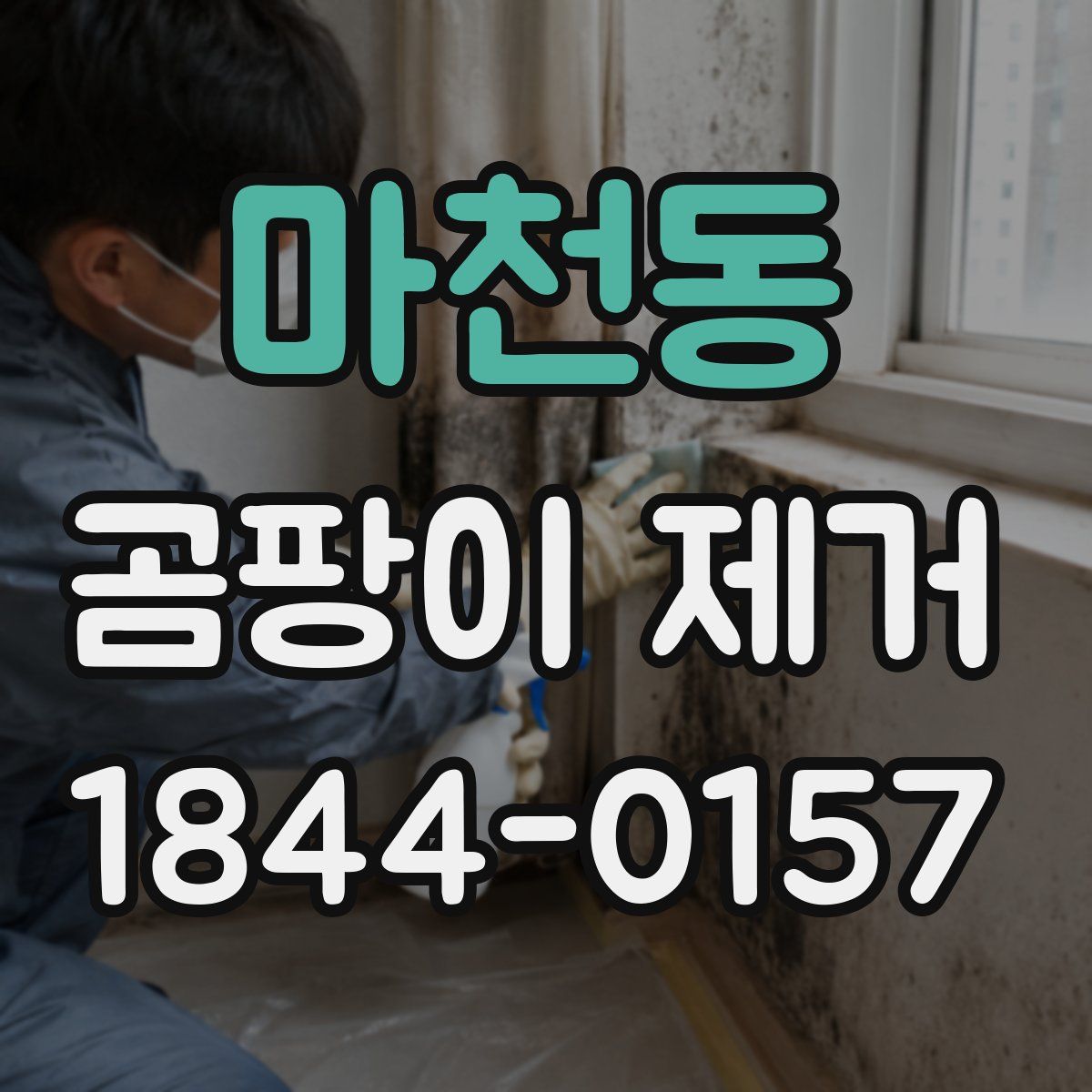 마천동 곰팡이 제거