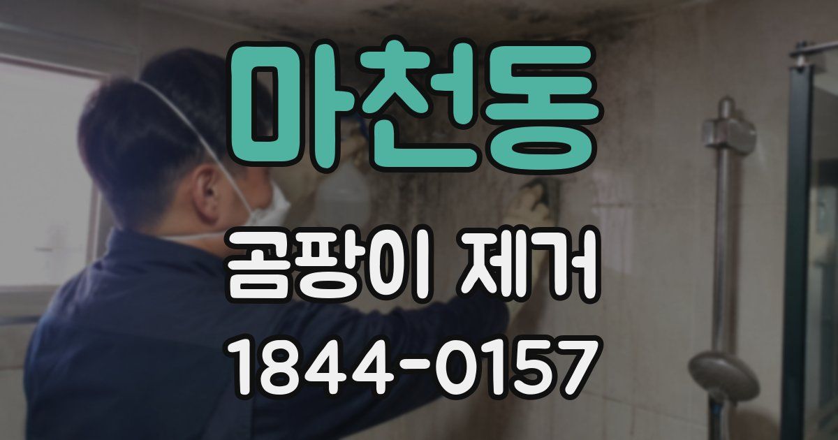 마천동 곰팡이 제거