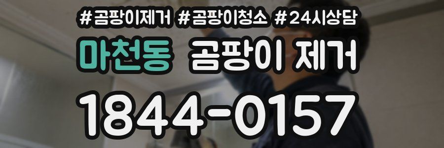 마천동 곰팡이 제거