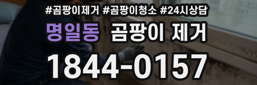 명일동 곰팡이 제거