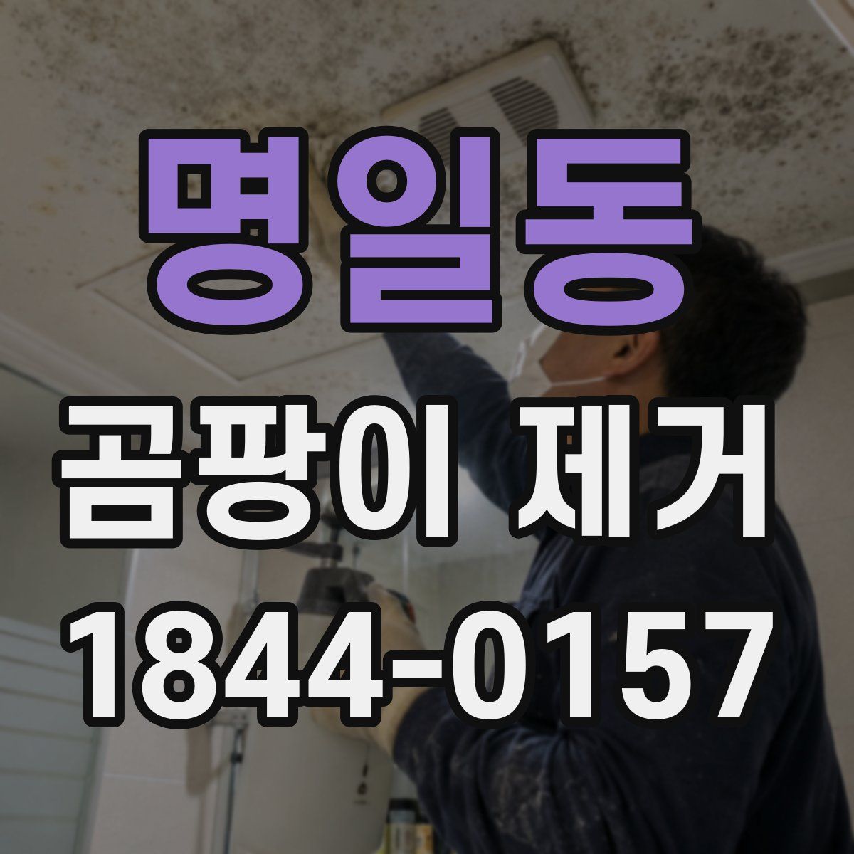 명일동 곰팡이 제거