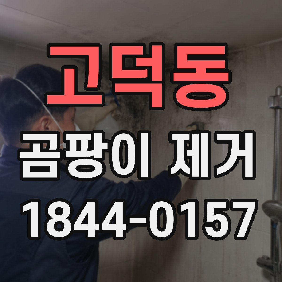 고덕동 곰팡이 제거