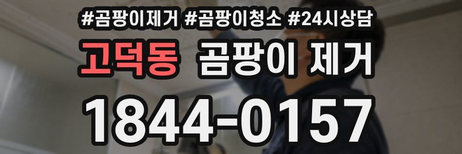 고덕동 곰팡이 제거