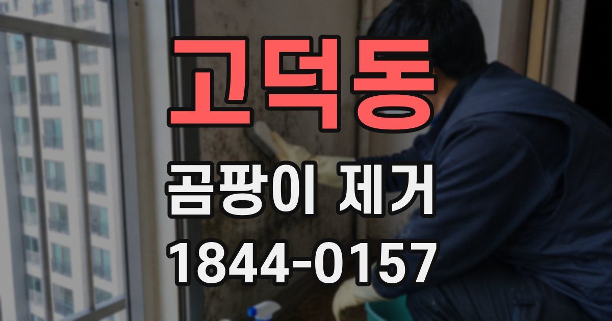 고덕동 곰팡이 제거