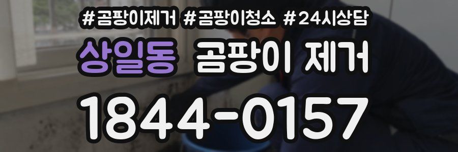 상일동 곰팡이 제거