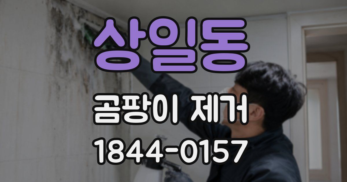 상일동 곰팡이 제거