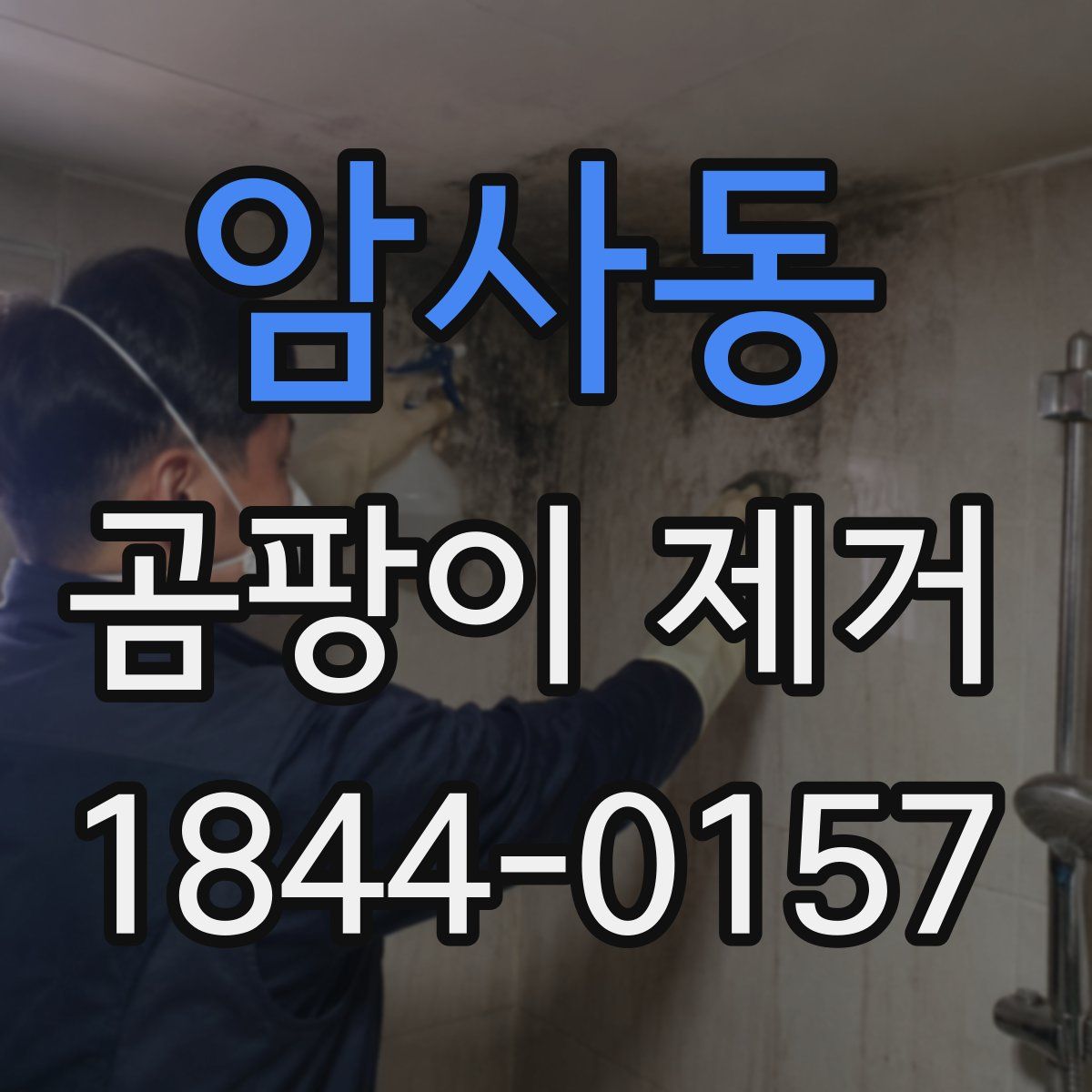 암사동 곰팡이 제거