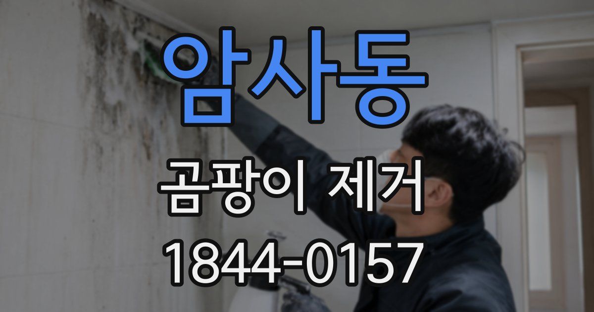 암사동 곰팡이 제거