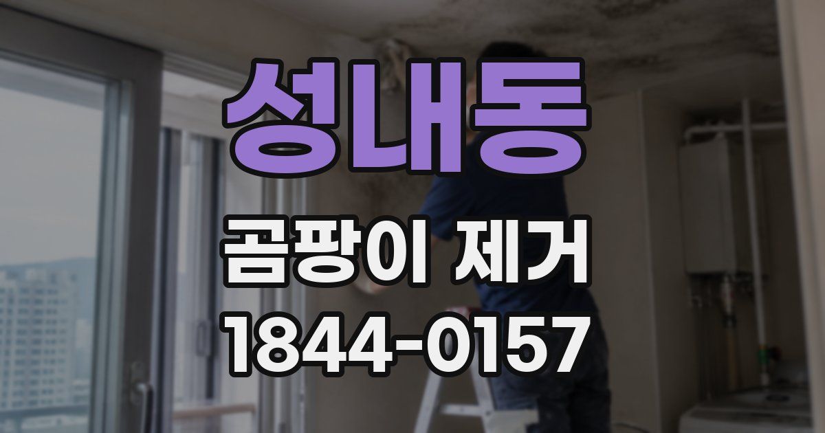 성내동 곰팡이 제거