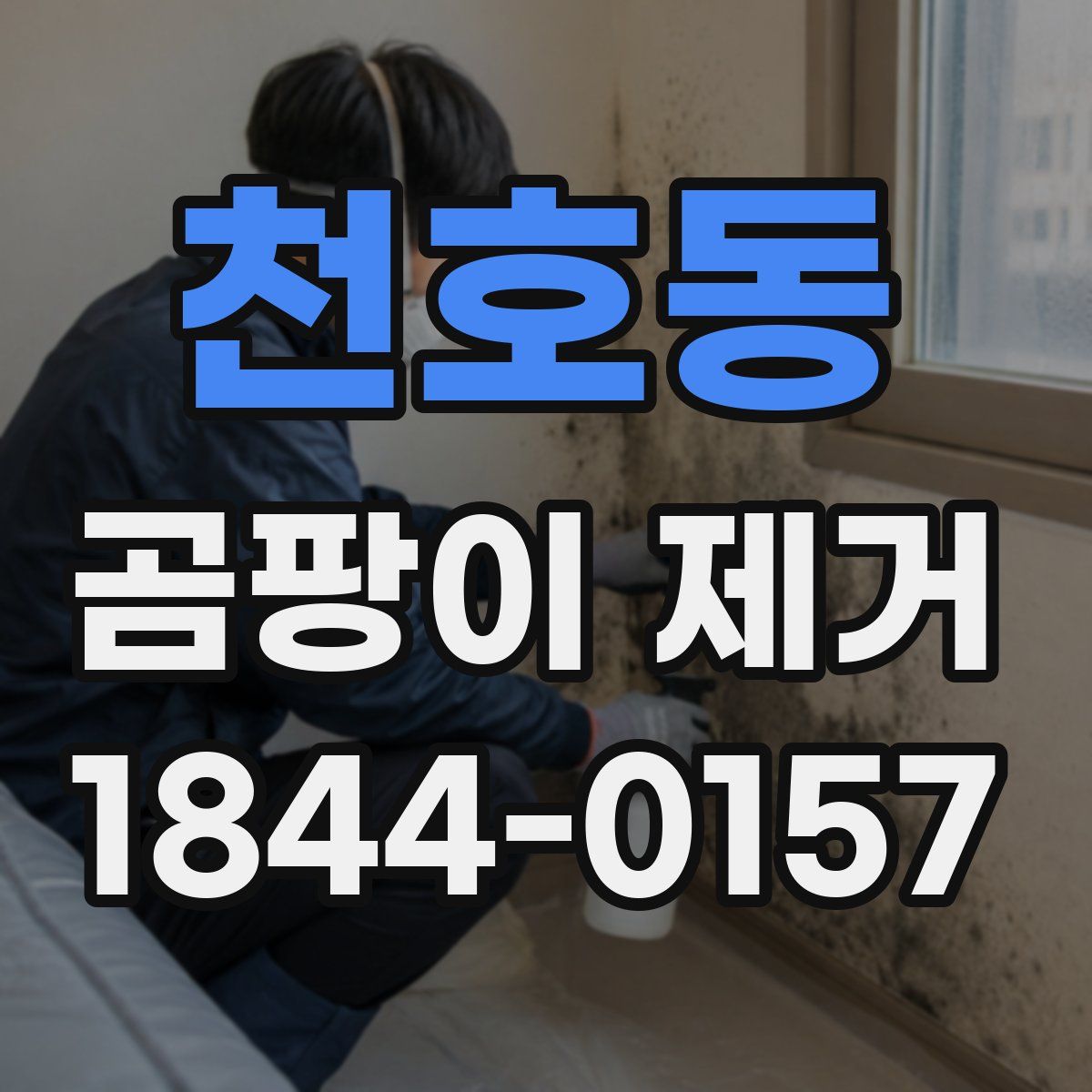 천호동 곰팡이 제거