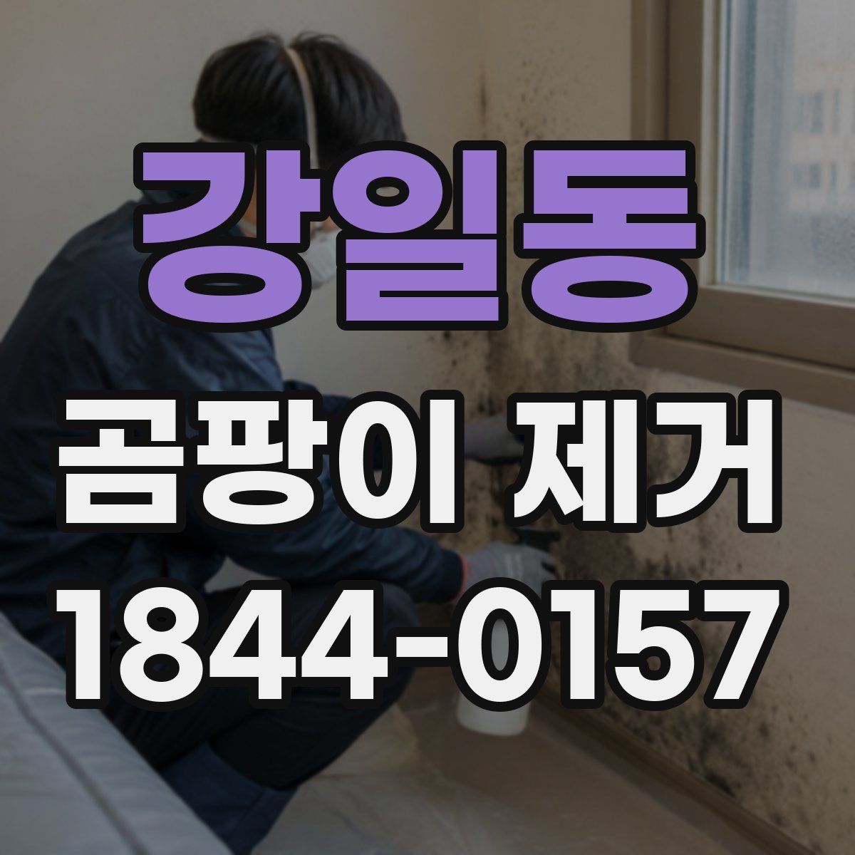 강일동 곰팡이 제거