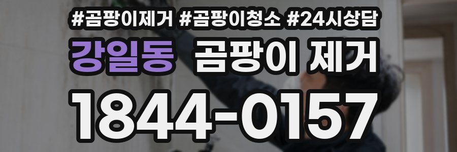 강일동 곰팡이 제거