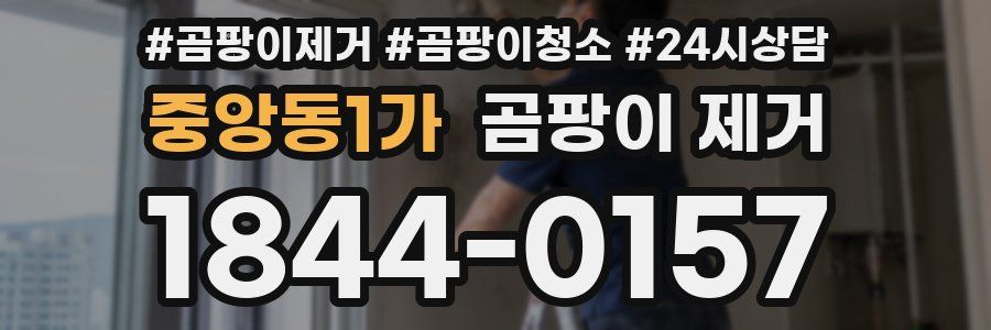 중앙동1가 곰팡이 제거