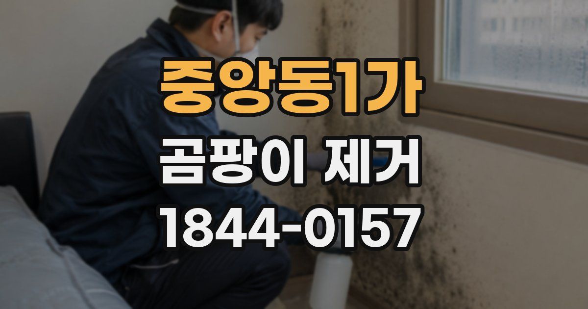 중앙동1가 곰팡이 제거