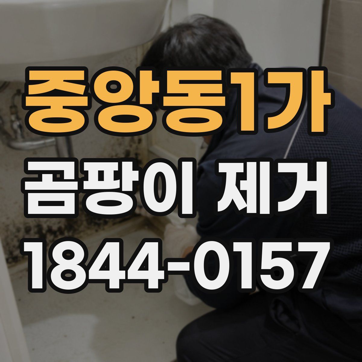 중앙동1가 곰팡이 제거