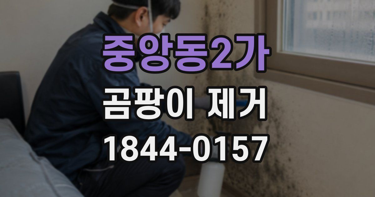 중앙동2가 곰팡이 제거