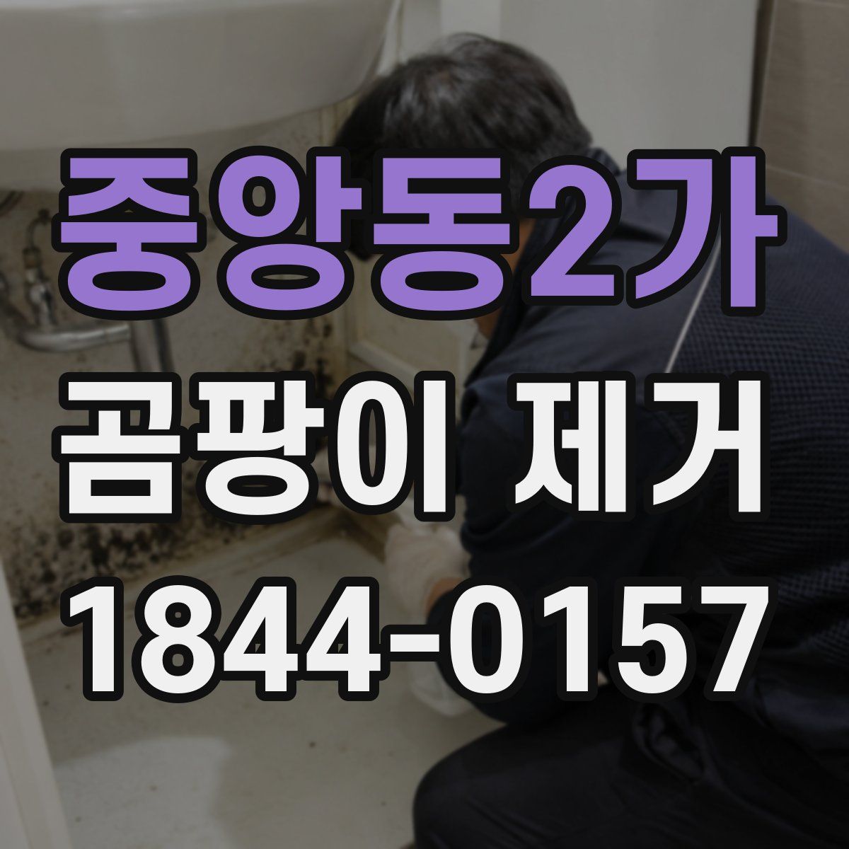 중앙동2가 곰팡이 제거