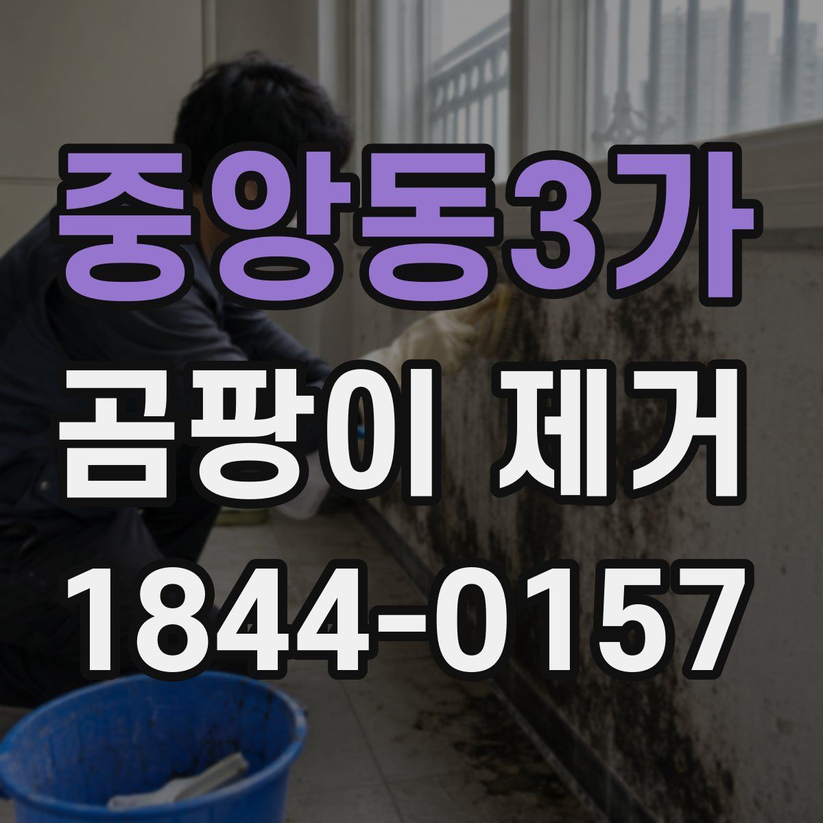 중앙동3가 곰팡이 제거