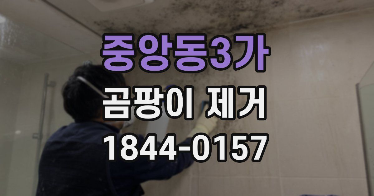 중앙동3가 곰팡이 제거