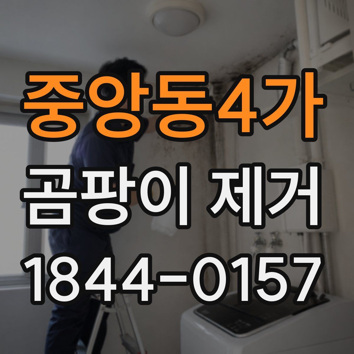 중앙동4가 곰팡이 제거