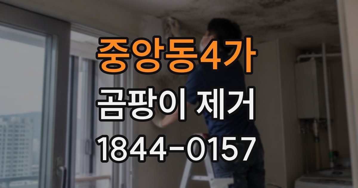 중앙동4가 곰팡이 제거