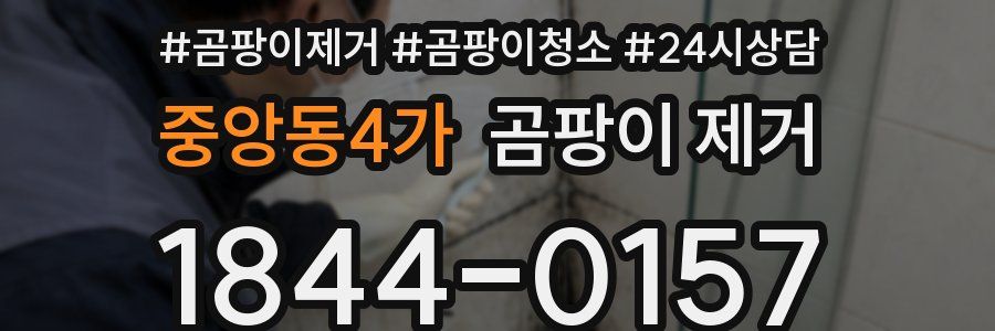 중앙동4가 곰팡이 제거