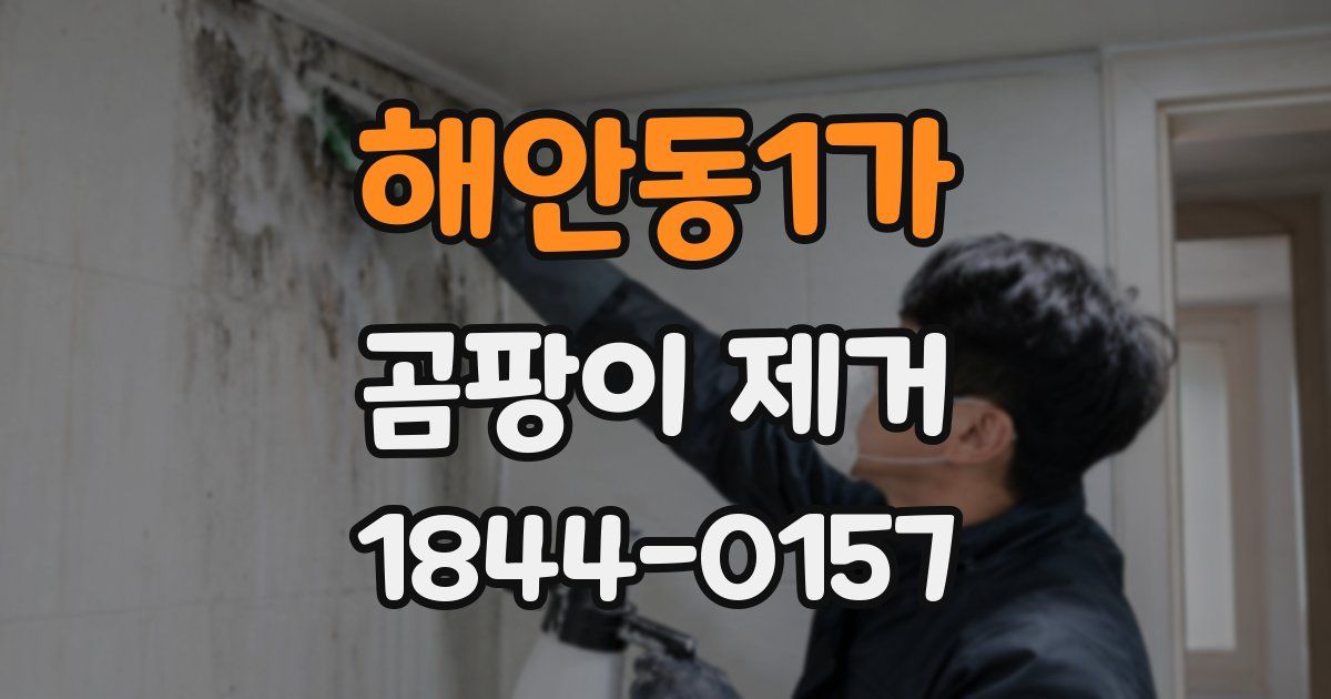해안동1가 곰팡이 제거