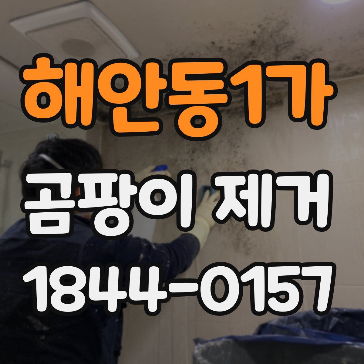 해안동1가 곰팡이 제거