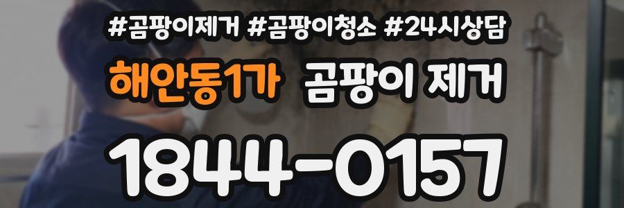 해안동1가 곰팡이 제거