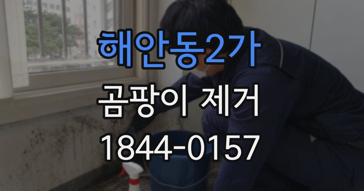 해안동2가 곰팡이 제거